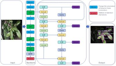 Precision agriculture with YOLO-Leaf: advanced methods for detecting apple leaf diseases